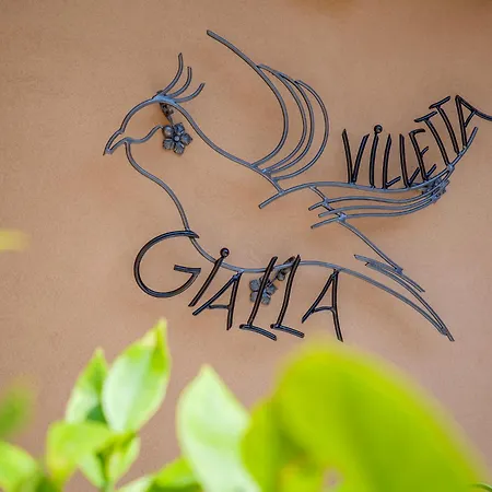 Gialla Intra