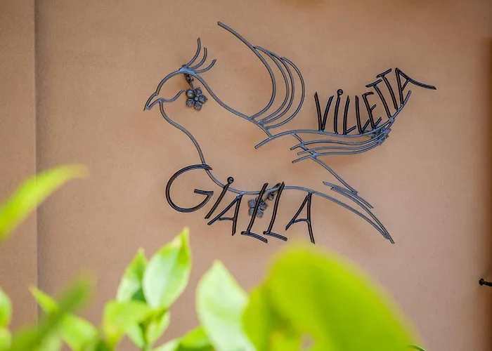 Gialla Intra
